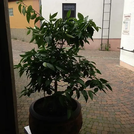 Marktschaenke فندق