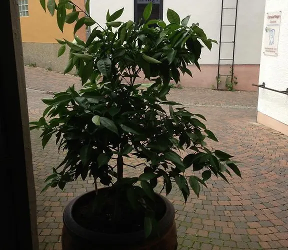 马克千昆酒店 酒店