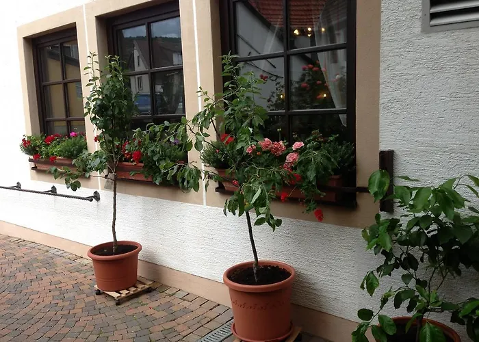 Hotel Marktschaenke 3*